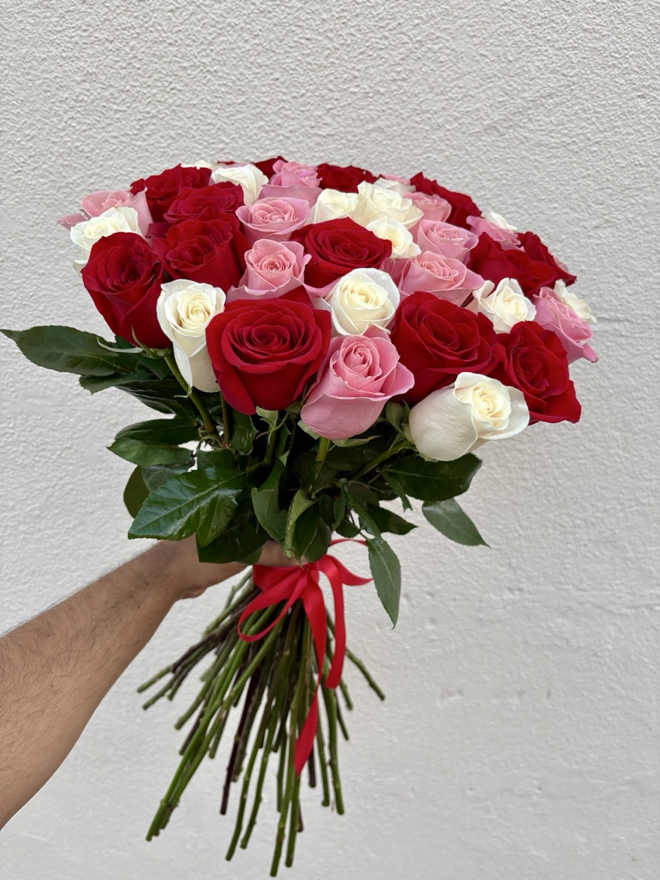 50 Nude Red Pink & White Roses 🎀 – 50 Red Pink And White Long Stem Roses In Its Natural beauty 🥀