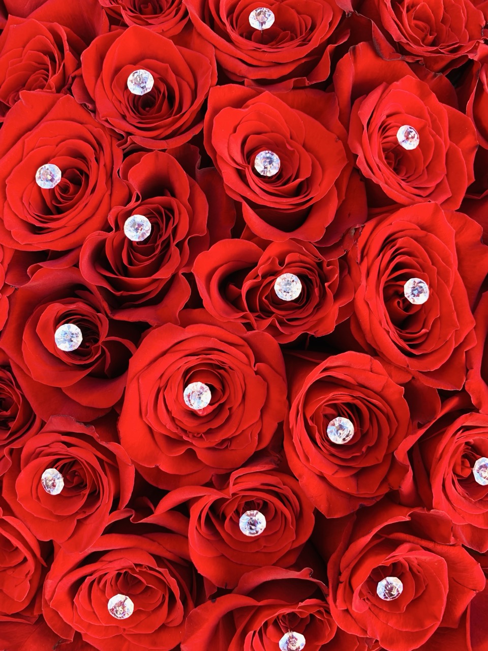 100 Rhinestone 💎 – 100 Rhinestone Perfect For 100 Count Roses 🌹