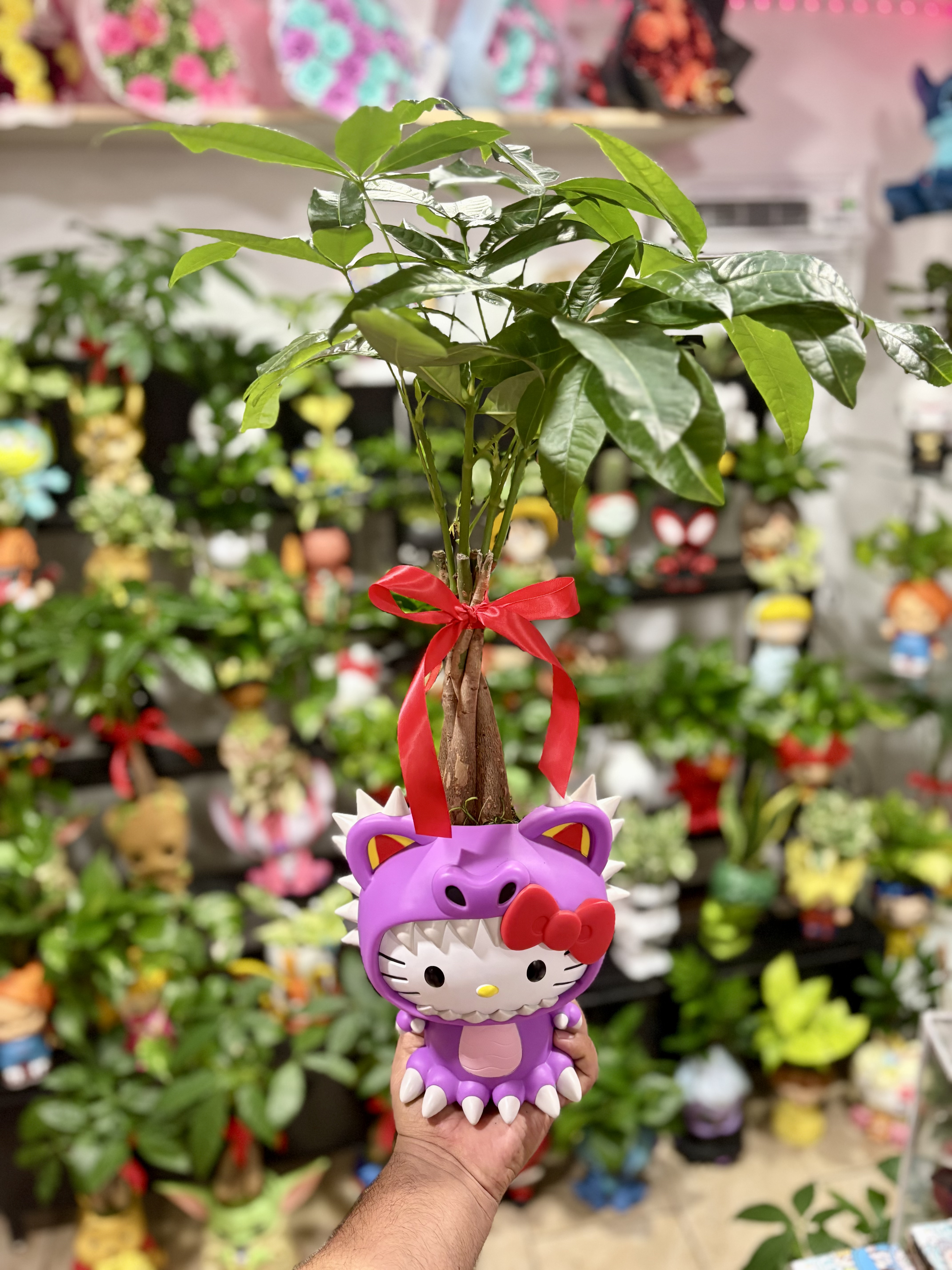 Hello Kitty (Style 3) – Third variant planter with compact foliage cluster